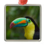 Keel-billed toucan on tree branch, Panama Metal Ornament
