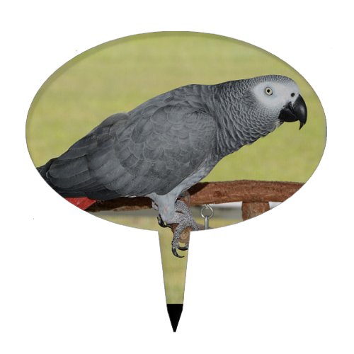 Keen Congo African Grey Parrot Cake Topper