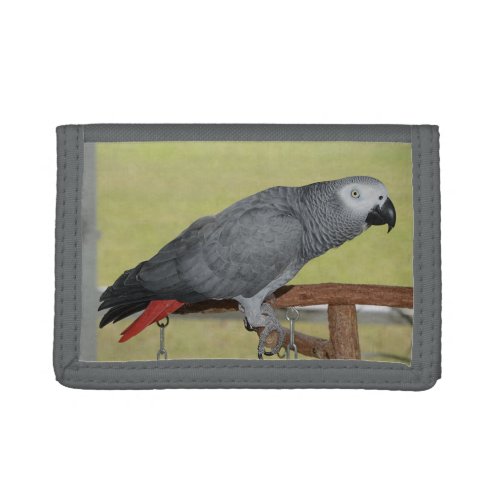 Keen Congo African Grey Parrot Trifold Wallet