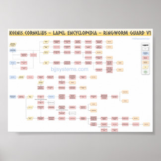 Keenan Cornelius - Ringworm Guard - Flowchart v1 Poster
