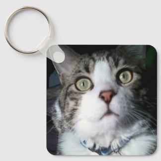 Keeno Did I hear Treats Keychain