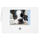 Keep Believing - BLANK CARD Lola B. Boston (Back Horizontal)