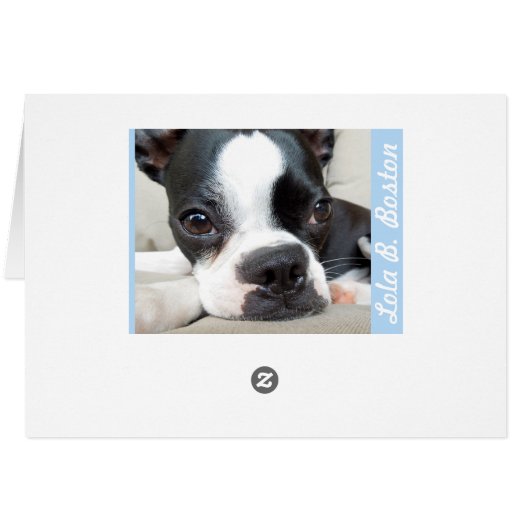 Keep Believing - BLANK CARD Lola B. Boston (Back Horizontal)