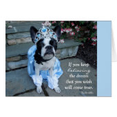 Keep Believing - BLANK CARD Lola B. Boston (Front Horizontal)