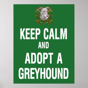 Keep Calm & Adopt a Greyhound Poster