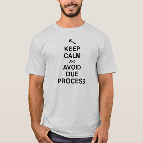 Keep Calm and Avoid Due Process T_Shirt