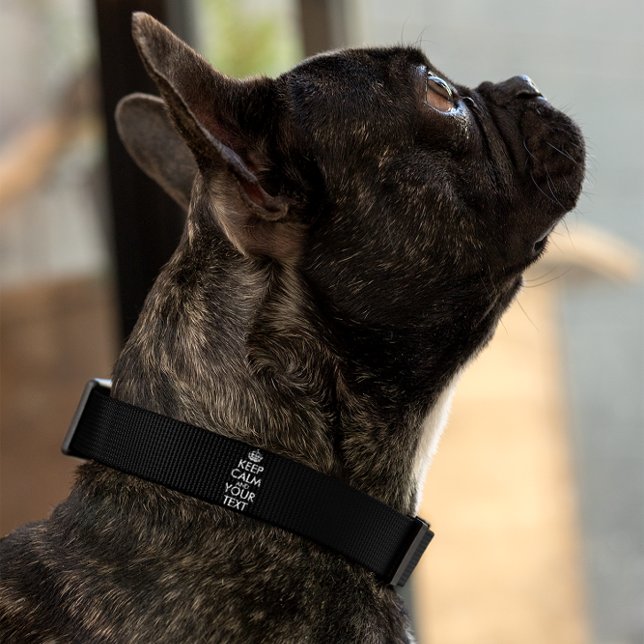 Keep Calm and Carry On - Create Your Own Pet Collar (Creator Uploaded)