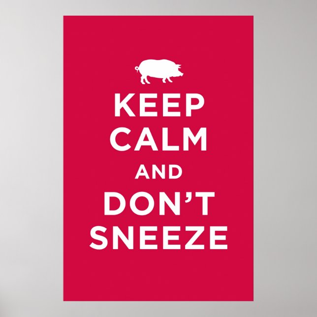 Keep Calm and Don't Sneeze Poster (Front)