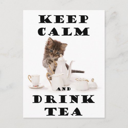 keep calm and drink tea kitten postcard