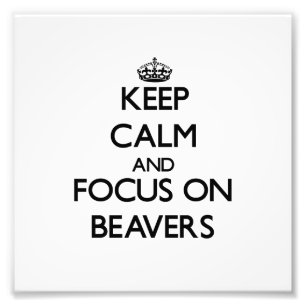 Keep Calm and focus on Beavers Photo Print