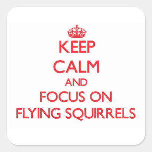 Keep Calm and focus on Flying Squirrels Square Sticker