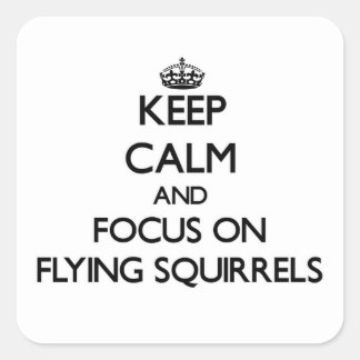 Keep Calm and focus on Flying Squirrels Square Sticker