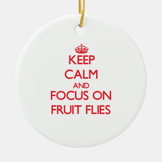 Keep Calm and focus on Fruit Flies Ceramic Ornament (Front)