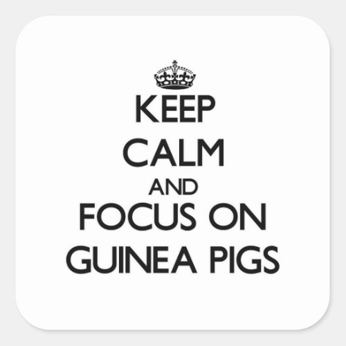 Keep Calm and focus on Guinea Pigs Square Sticker