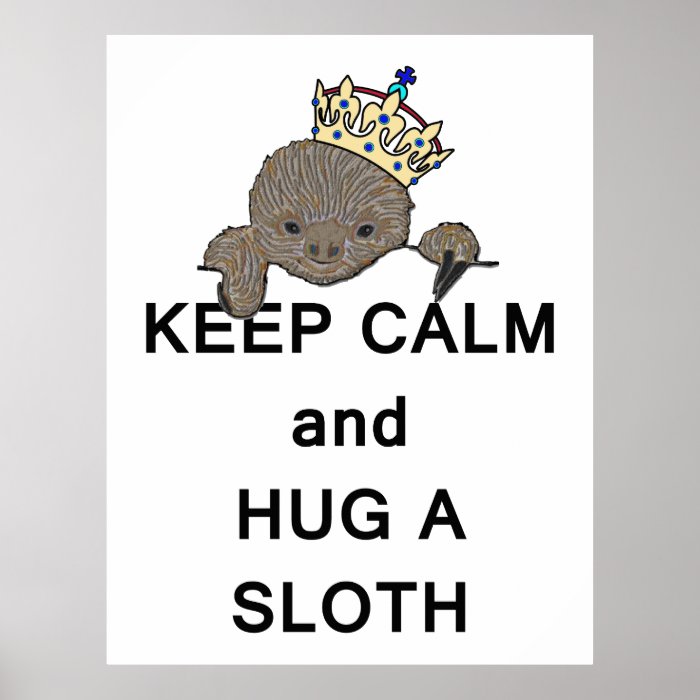 Keep Calm and Hug a Sloth Meme Poster