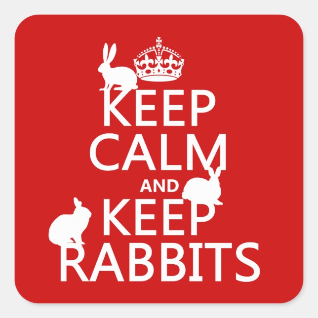 Keep Calm and Keep Rabbits - all colors Square Sticker (Front)