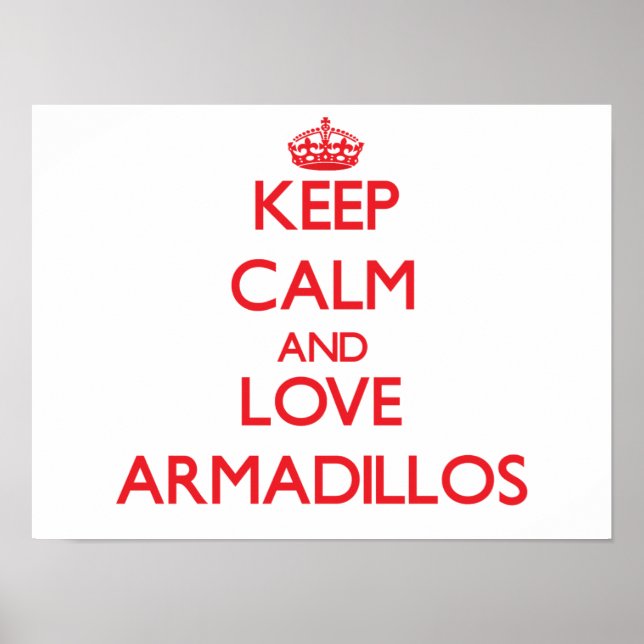 Keep calm and love Armadillos Poster (Front)