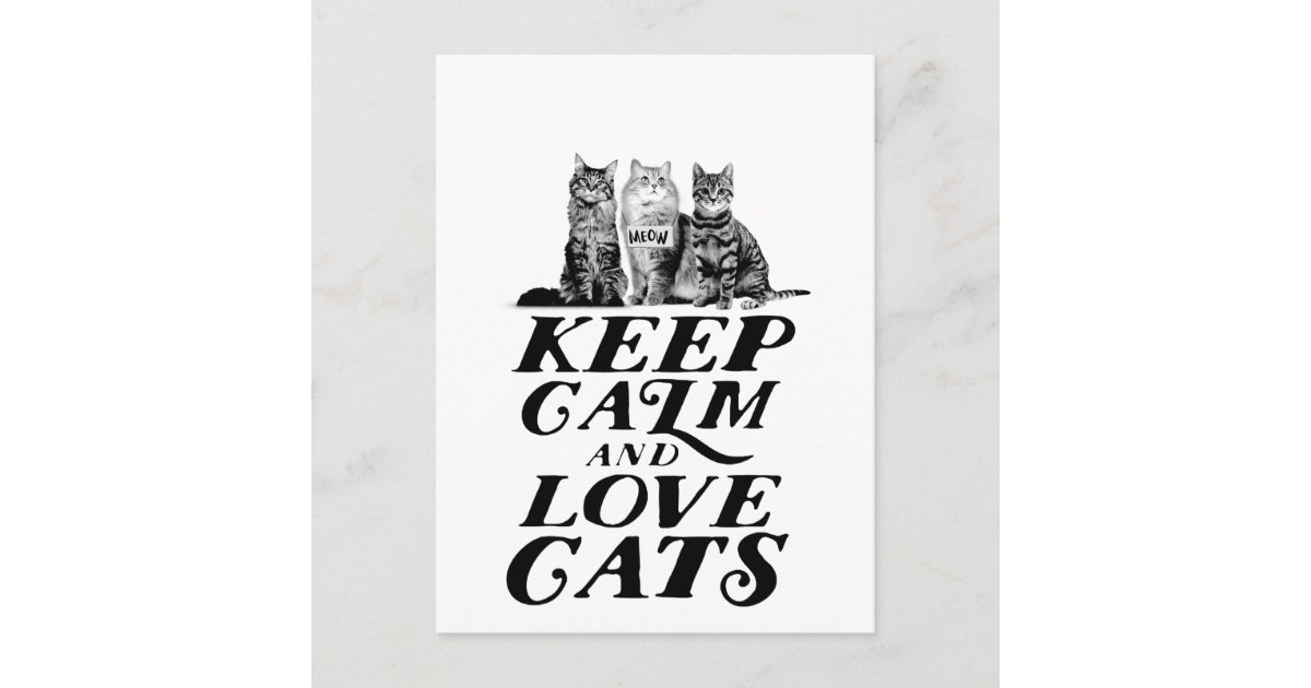 keep calm and love black cats