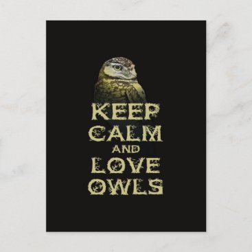 Keep Calm and Love Owls Original Owl Gift Stuff Postcard