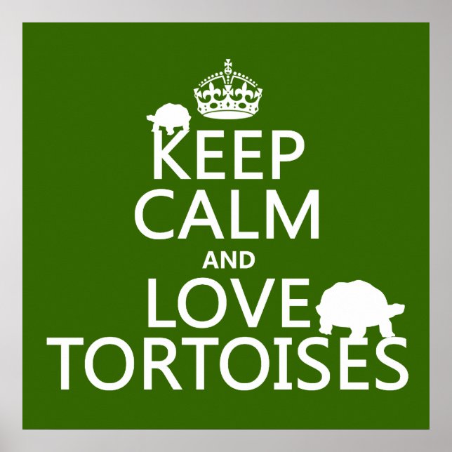 Keep Calm and Love Tortoises (any color) Poster (Front)