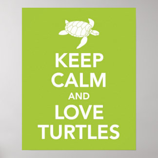 Turtle Posters | Zazzle