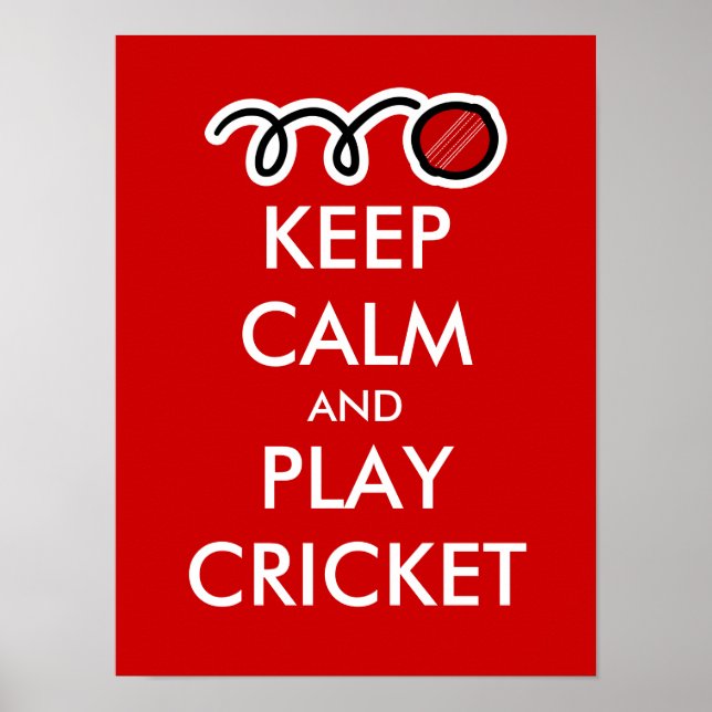 Keep calm and play cricket | Custom Poster parody (Front)