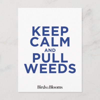 Keep Calm and Pull Weeds Postcard
