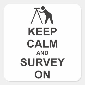 Keep Calm and Survey On Square Sticker