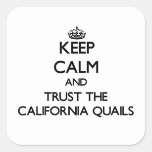 Keep calm and Trust the California Quails Square Sticker