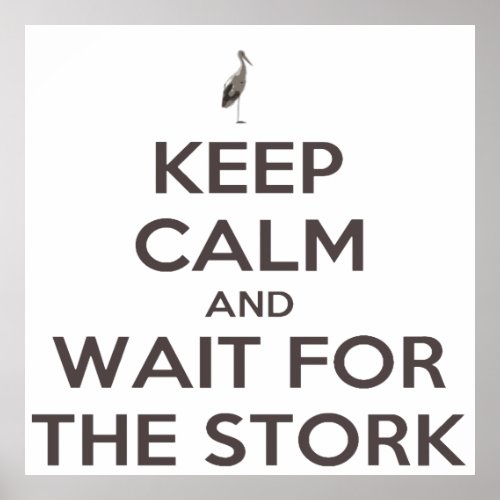Keep Calm And Wait For The Stork Baby Delivery Poster