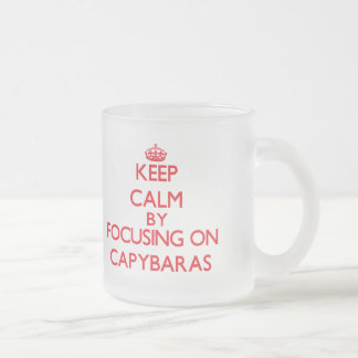Keep calm by focusing on Capybaras Frosted Glass Coffee Mug