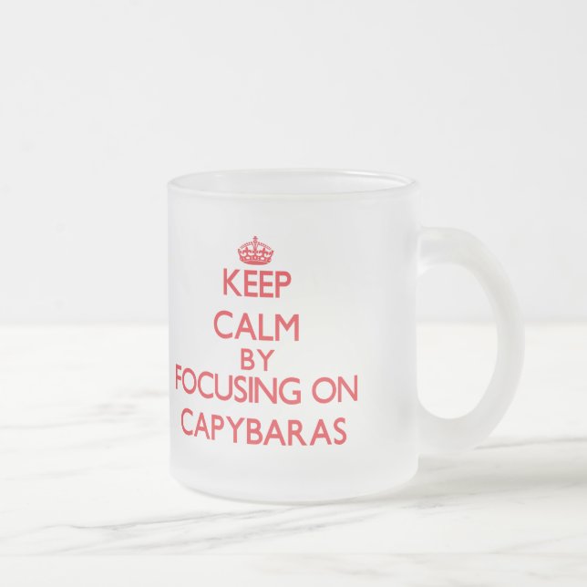 Keep calm by focusing on Capybaras Frosted Glass Coffee Mug (Right)