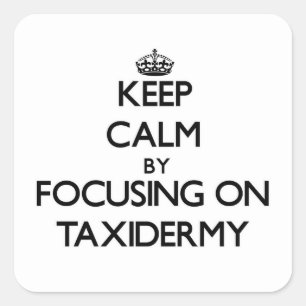 Keep Calm by focusing on Taxidermy Square Sticker