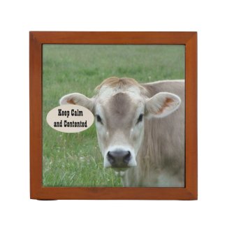 Keep Calm Cows