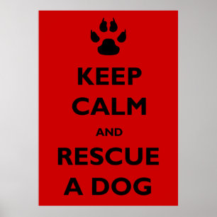 Keep calm dog rescue poster