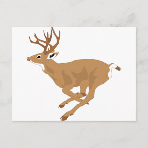 Keep Calm Hunt Deer Venison Antlers Animal Hunting Postcard
