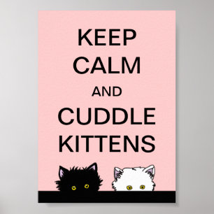 Keep Calm Kittens Poster
