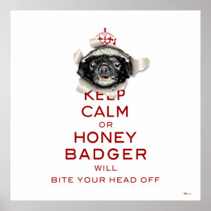 Keep Calm or Honey Badger… Poster