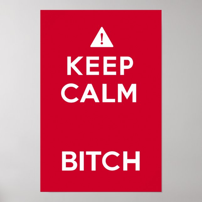 Keep Calm Parody Funny Poster (Front)