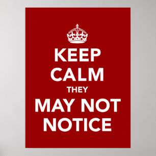 Keep Calm They May Not Notice Poster