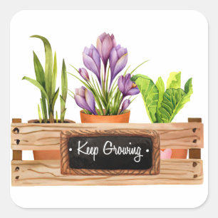 Keep growing chalkboard sign plant flower box square sticker