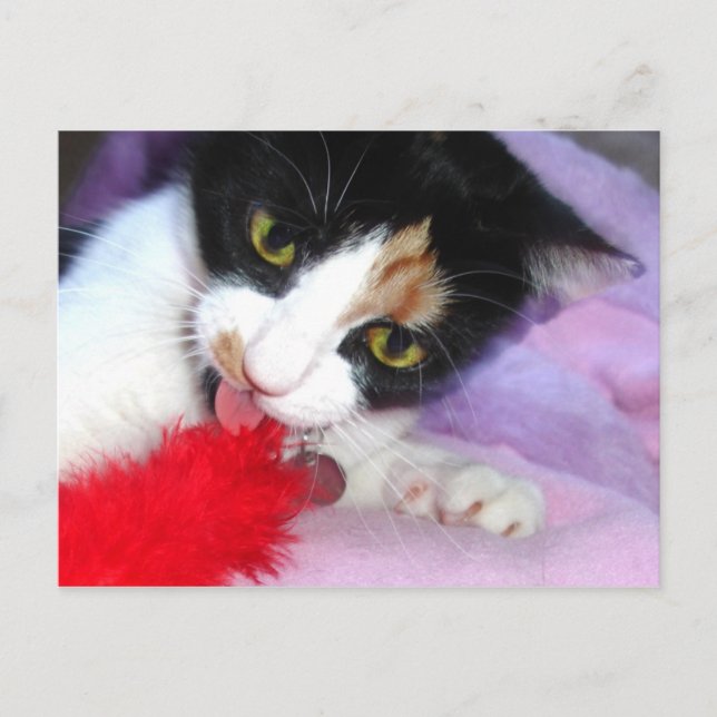 Keep it clean! postcard (Front)