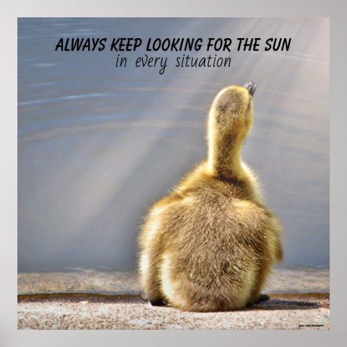 Keep Looking for the Sun Poster