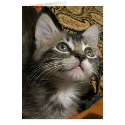 "Keep Looking Up" Card (Front)