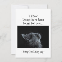 Keep Looking Up to God Encouragement  Cat animal Card