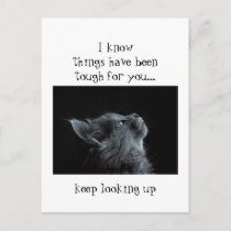 Keep Looking Up to God Encouragement  Cat animal Postcard