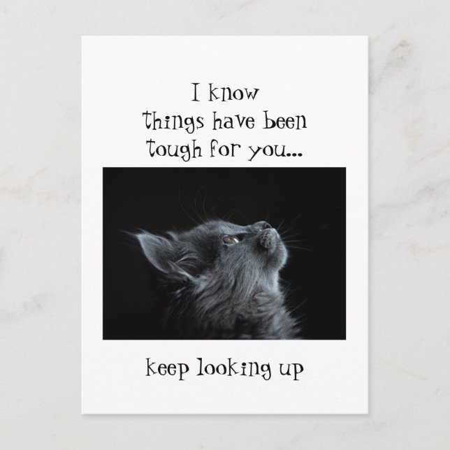 Keep Looking Up to God Encouragement  Cat animal Postcard (Front)