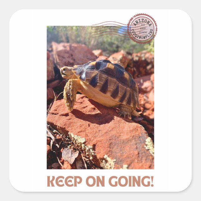 Keep on Going Inspirational coddiwompling Tortoise Square Sticker (Front)