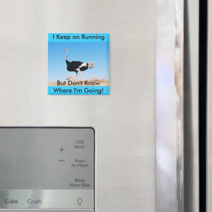 Keep on Running Ostrich Magnet