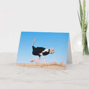 Keep Running Ostrich Card